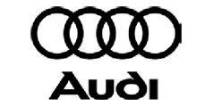 audi_bn